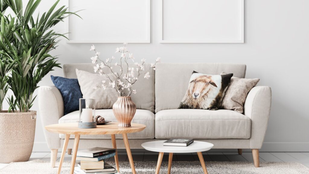 Huisstofmijt gids: symptomen, preventie en 12 effectieve reinigingstips